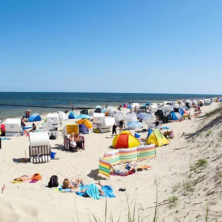 Wildrose By Interhome * Zempin