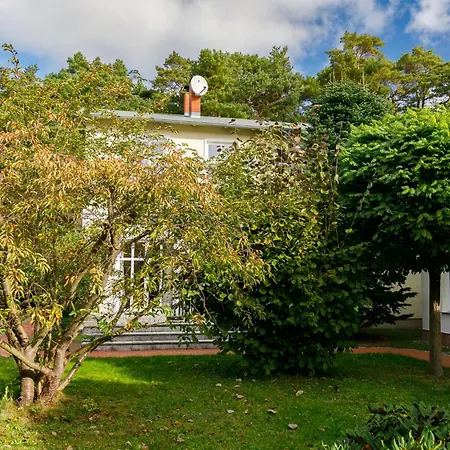 Wildrose By Interhome Apartment