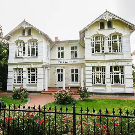 Wildrose By Interhome * Zempin