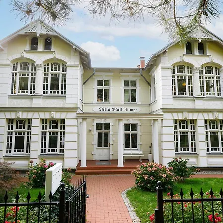 Wildrose By Interhome Zempin